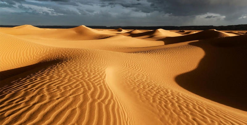 الصحراء الكبرى  الجزائر
