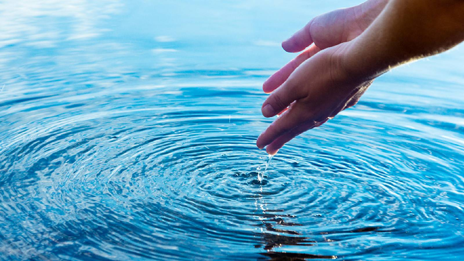 تعريف المادة: دليل شامل لأنواعها، وحالاتها، وخصائصها