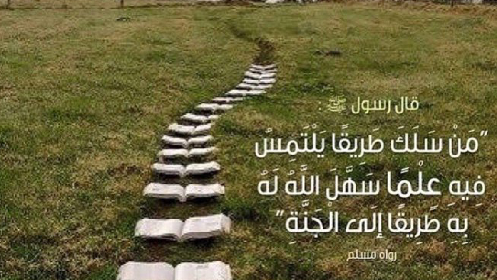 20 حديثًا نبويًا عن طلب العلم - فضل التعلم في الإسلام