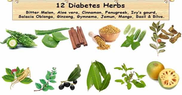 مجموعة من الاعشاب التي تساعد على تخفيض مستوى سكر الدم 