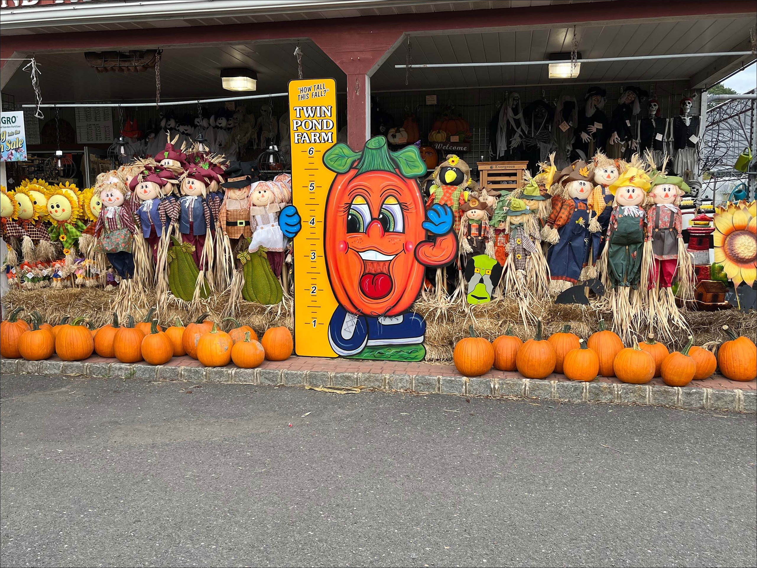 صورة مأخوذة بهاتف أيفون 13 (iPhone 13) لديكورات الهالوين