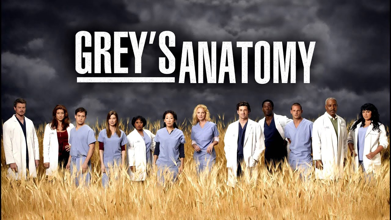 ابطال مسلسل غريز اناتومي يقفون في حقل من الاعشاب اليابسة و فوقهم مكتوب اسم المسلسل 