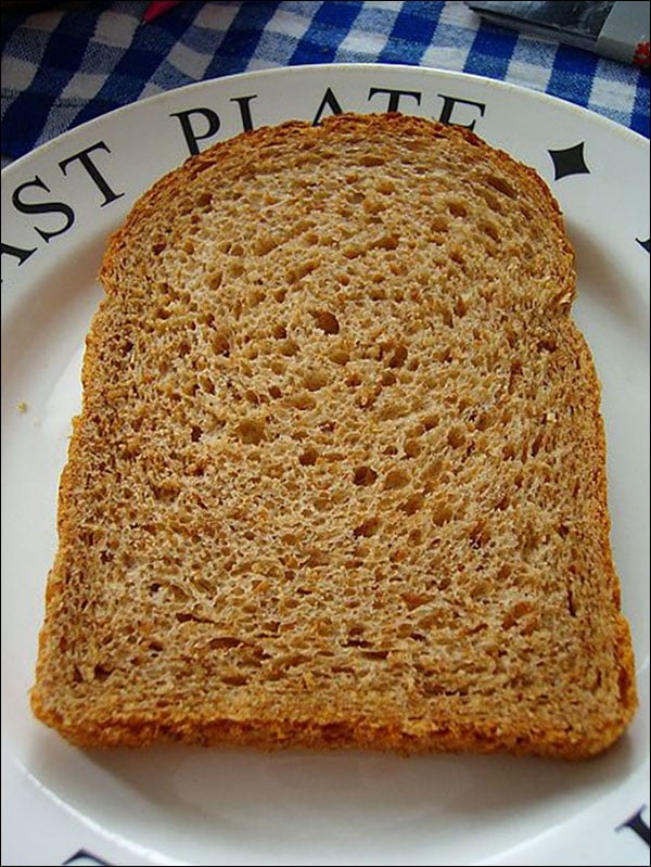 التجربة العلمية الأولى: الخبز المتعفن