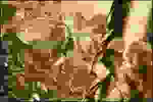 ورق الجدران ورق الجدران