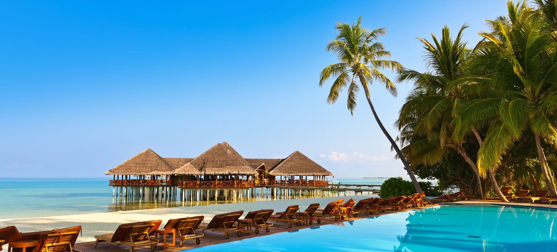 بركة سباحة بجانبها غابة صغيرة من اشجار النخيل و امامها كراسي بحر و يظهر في وسط الماء مجموعة من الاكواخ السياحية الرائعة 