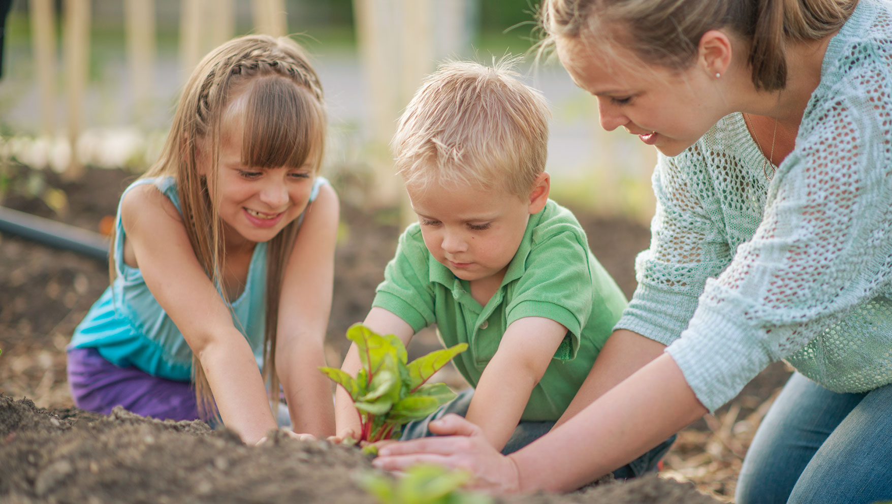 ام مع طفليها تعلمهم طريقة زراعة النباتات والطفلين يزرعان النبة بإيديهم 