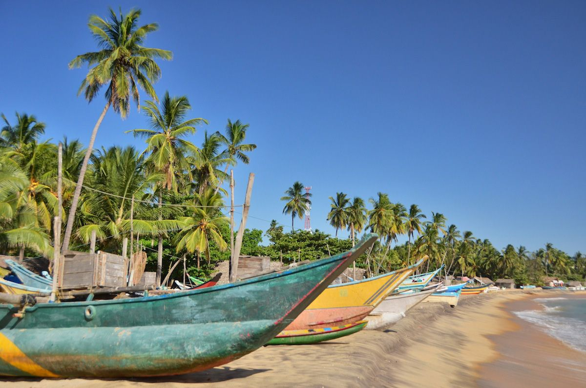 منظر من شاطئ من شواطئ سريلانكا حيث تظهر اشجار النخيل و القوارب الصغيره على الشاطئ