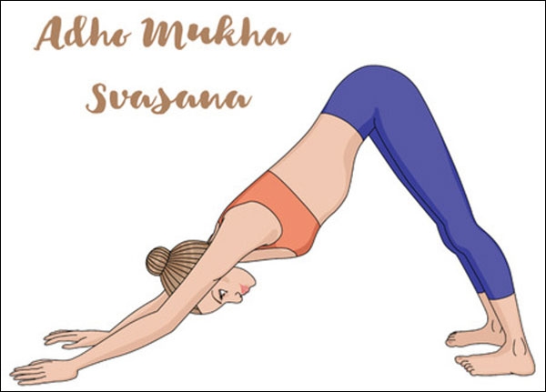 وضعية الكلب المنحني (Adho Mukha Svanasana) وضعية الكلب المنحني (Adho Mukha Svanasana)