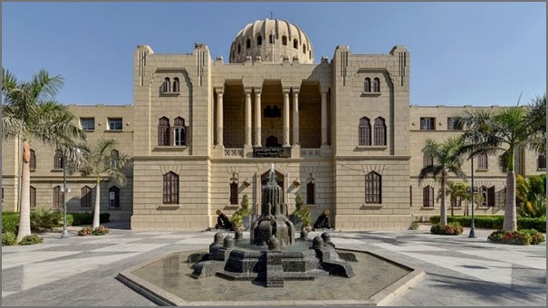 Ain-Shams University