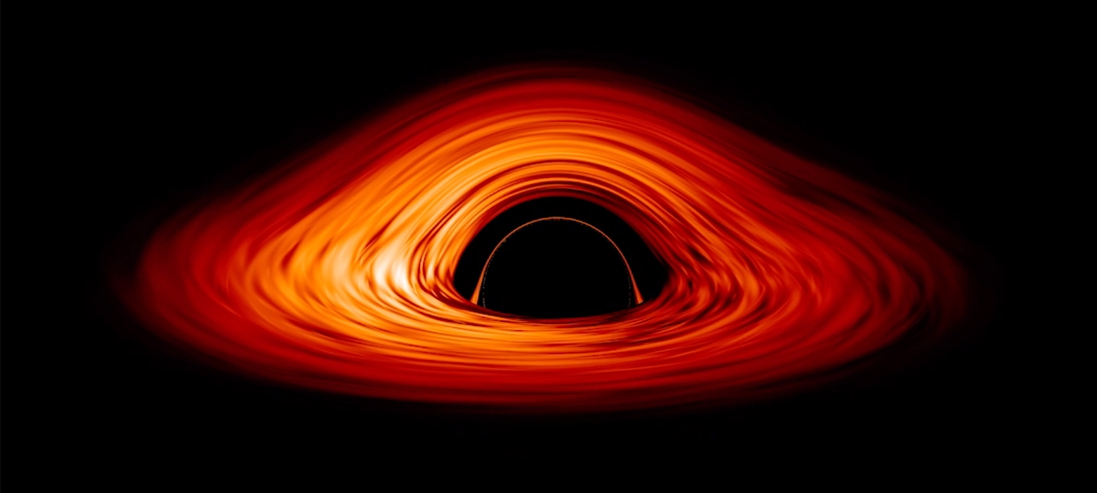 Black Holes