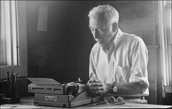 إلوين برووكس وايت