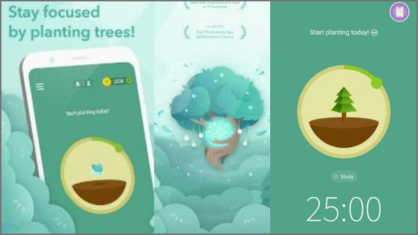 Forest يُساعد هذا التطبيق على تعزيز التركيز من خلال أسلوب فريد