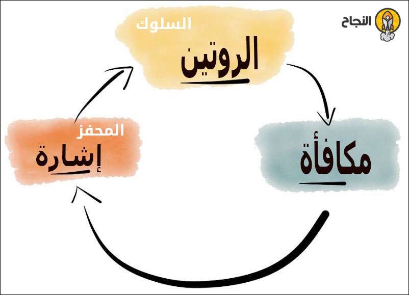 حلقة العادة