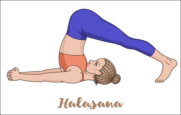 وضعية المحراث (Halasana)