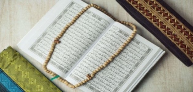 التواضع في القرآن