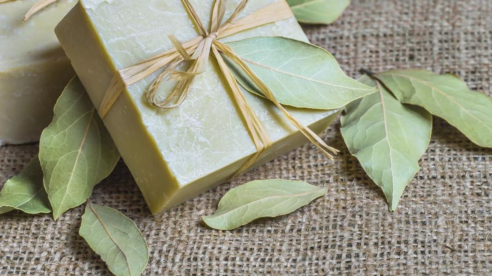 صابون الغار بزيت الأرغان