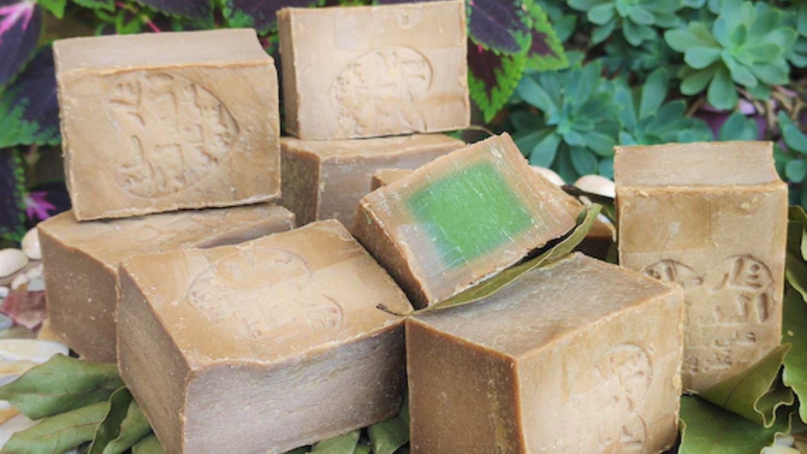 صابون الغار بالعطور الطبيعية