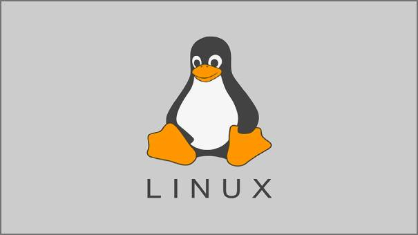 Linux system logo
