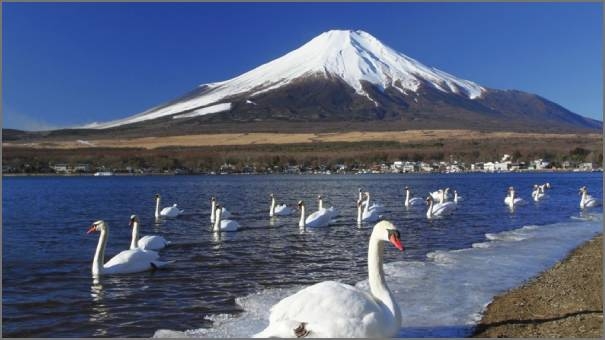 Mount Fuji in Japan