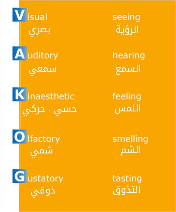 الأنظمة التمثيلية