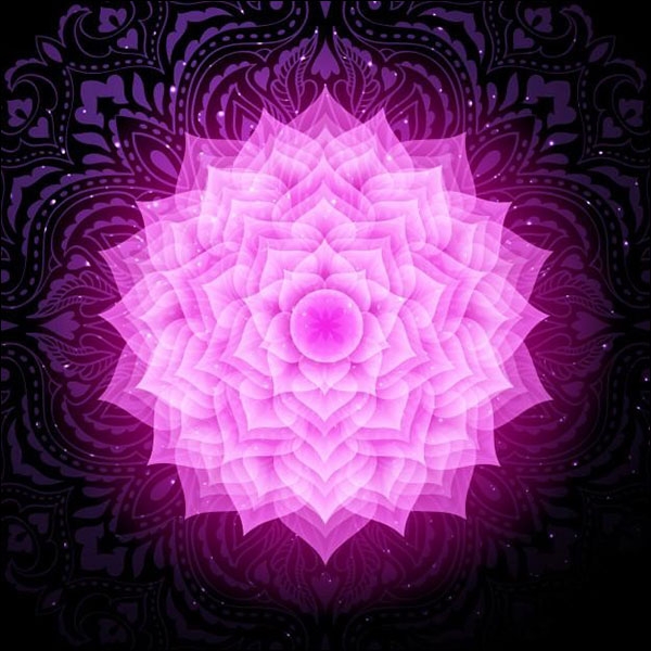 الشاكرا السابعة، شاكرا التاج ساهاسرارا (Sahasrara)