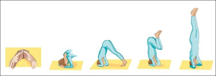 وضعية الوقوف على الرأس (Salamba Sirsasana) وضعية الوقوف على الرأس (Salamba Sirsasana)