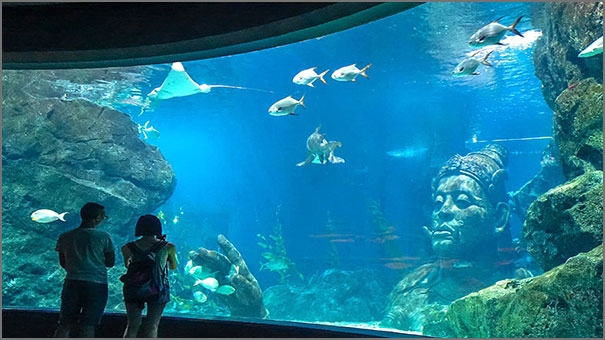Sea Life Aquarium Bangkok