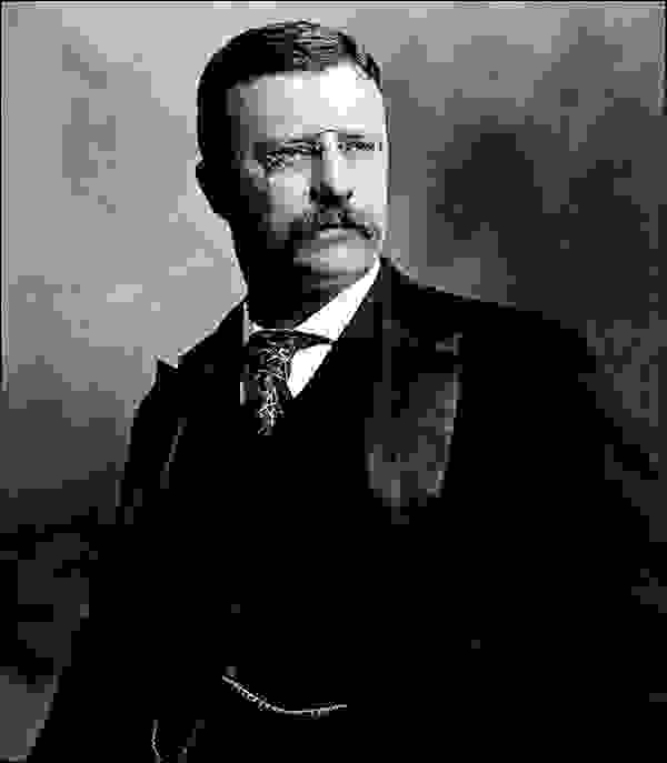 ثيودور روزفيلت (Theodore Roosevelt)