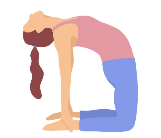 وضعية الجمل (Ustrasana)