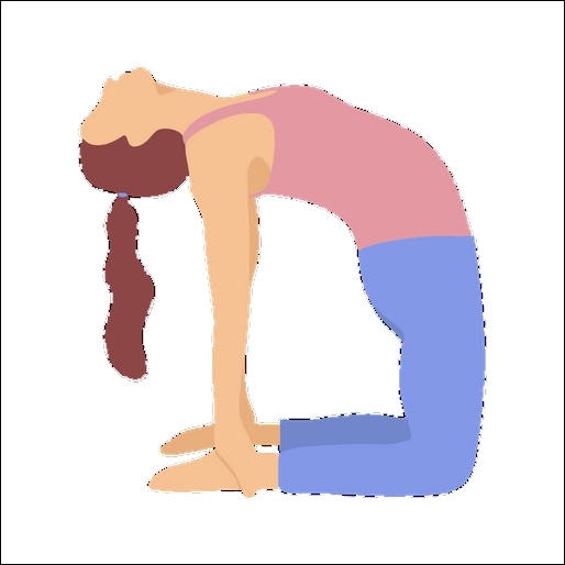 وضعية الجمل