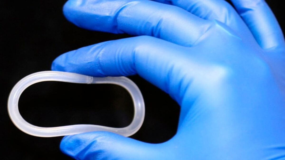 يد ترتدي قفازات طبية زرقاء تحمل حلقة مهبلية شهرية ذكية لونها ابيض 