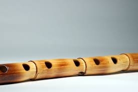 Flute musical instrument