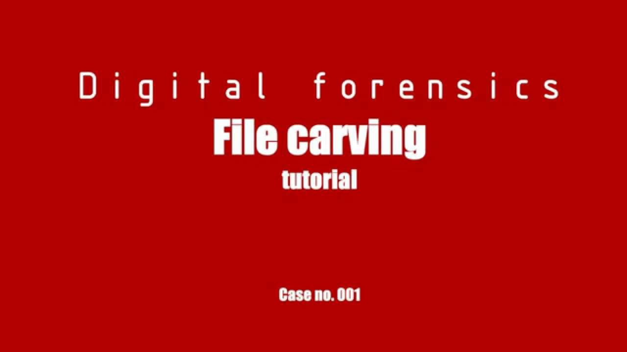 على خلفية حمراء يظهر عبارة File Carving