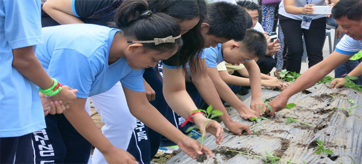 الانشطة المدرسية