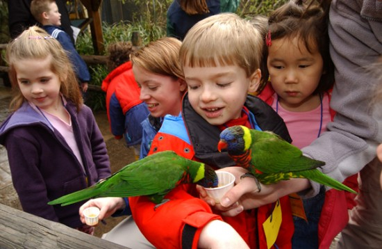 مجموعة من طلاب المدرسة مع المعلم يتعرفون على الطيور 