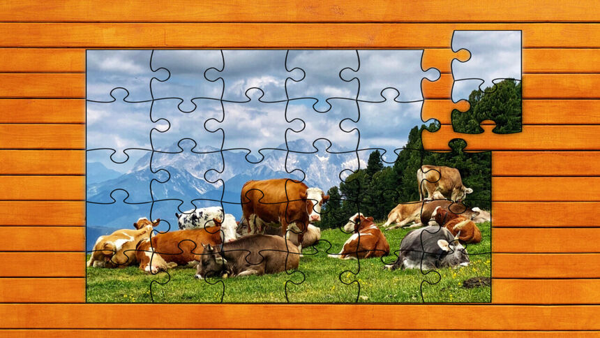 ألغاز الصور المقطوعة