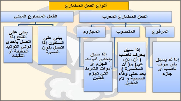أنواع الفعل المضارع