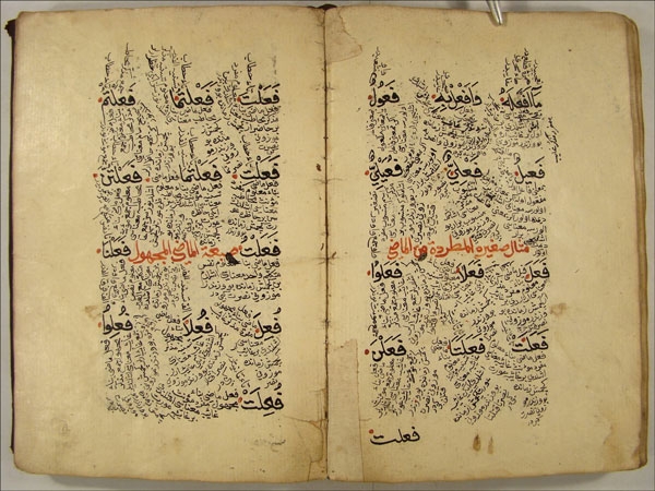 أنواع المخطوطات حسب اللغة