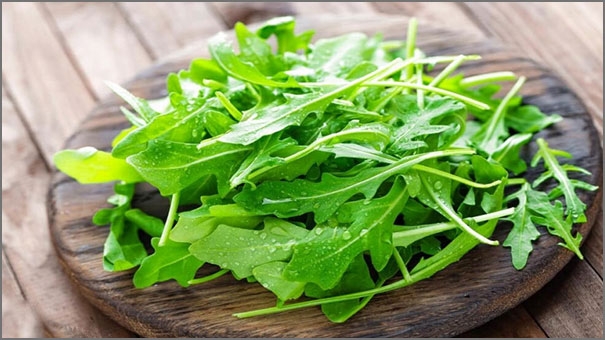 أهمية الجرجير وعناصره الغذائية أهمية الجرجير وعناصره الغذائية