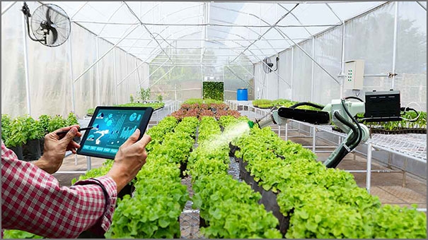 أهمية الذكاء الاصطناعي في تطوير الزراعة