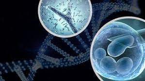 اختبار ما قبل الزرع