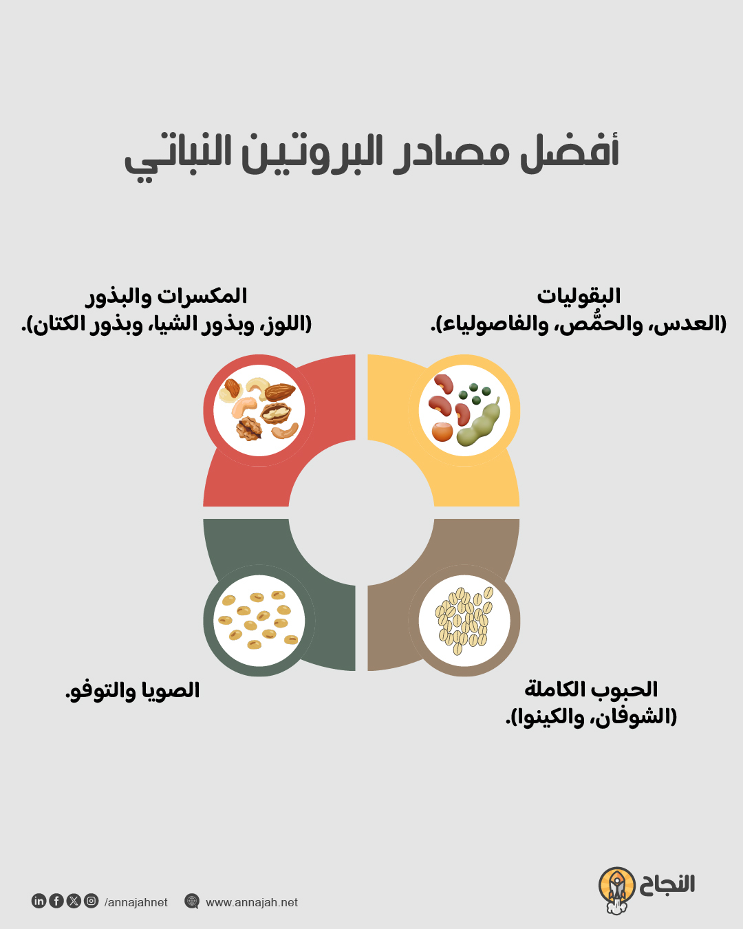 إنفوغرافيك: أفضل مصادر البروتين النباتي
