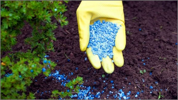 الأسمدة الكيميائية