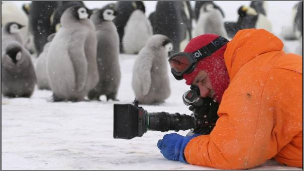 مصورأثناء تصويره للبطاريق في منطقة شديدة البرودة