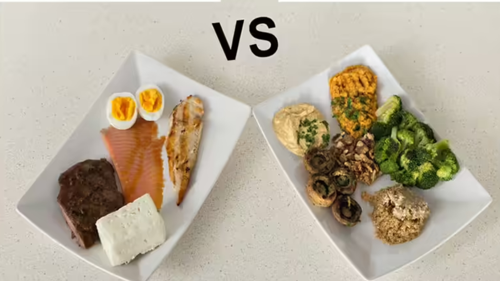 البروتين النباتي مقابل البروتين الحيواني