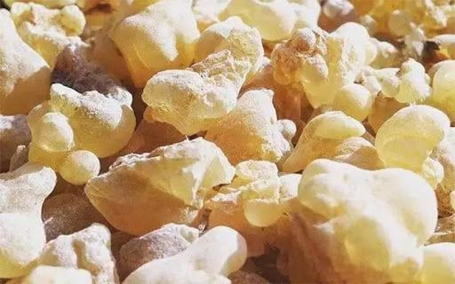 البوسويليا