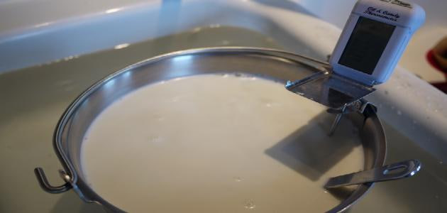 بسترة الحليب