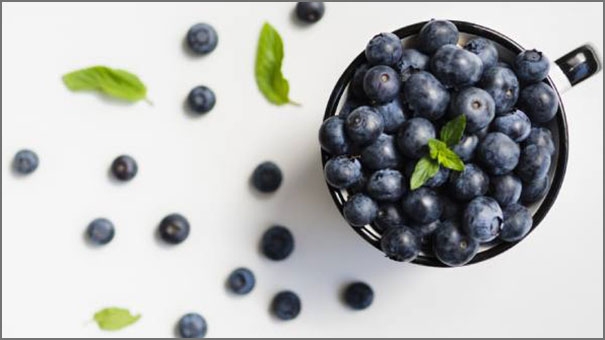 التوت الأزرق