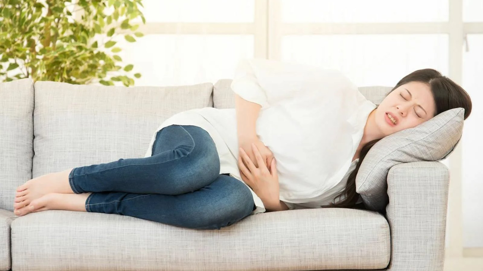 الدورة الشهرية