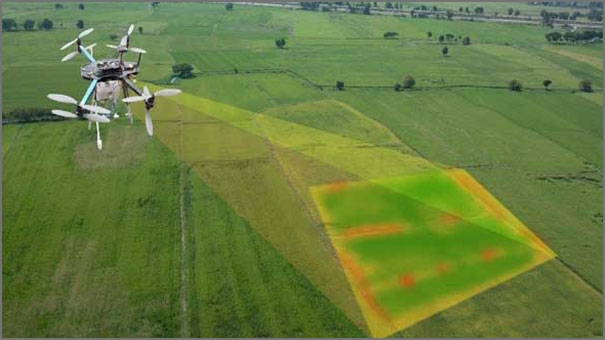 الذكاء الاصطناعي في الزراعة